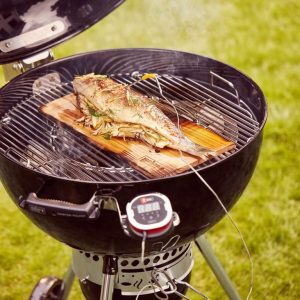 Faszenes Weber grill Master Touch SE E-5755