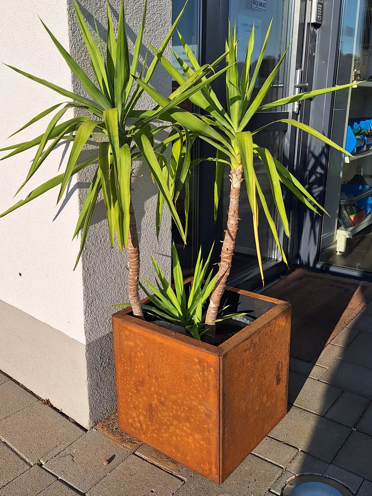 Fém-virágláda-corten-magaságyás-40x40cm