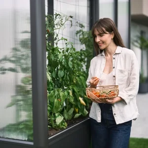 Biohort üvegház Florentina