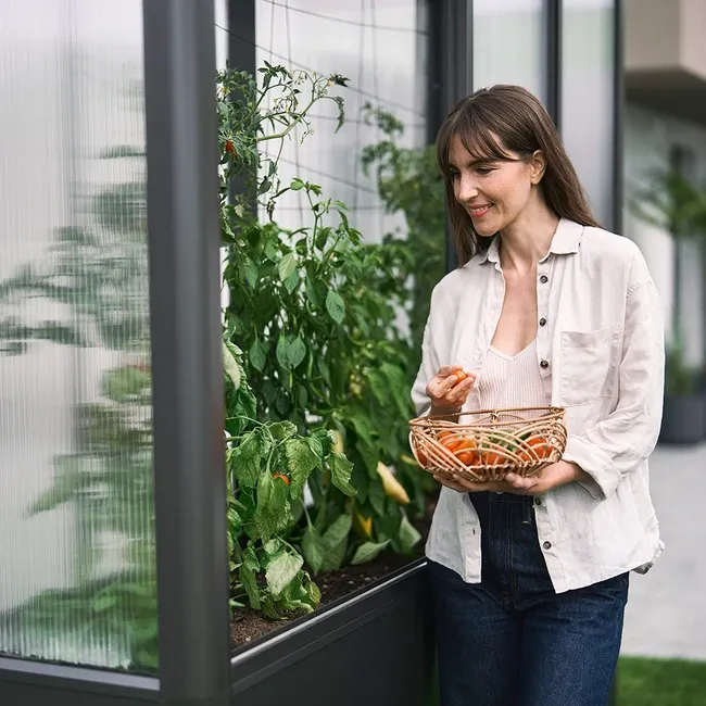 Biohort üvegház Florentina