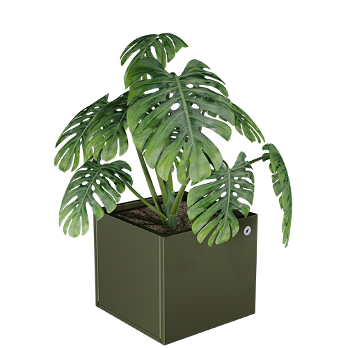 Cubo virágágyás fém kaspó